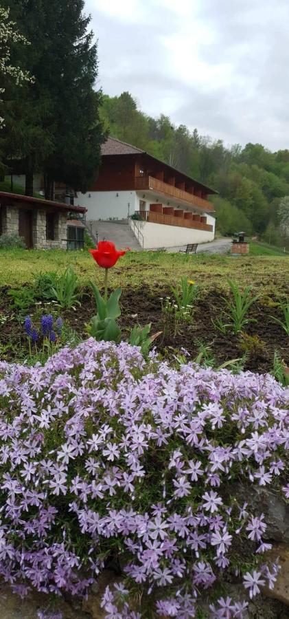 B&B Zlatna Nit Босанска Крупа Екстериор снимка