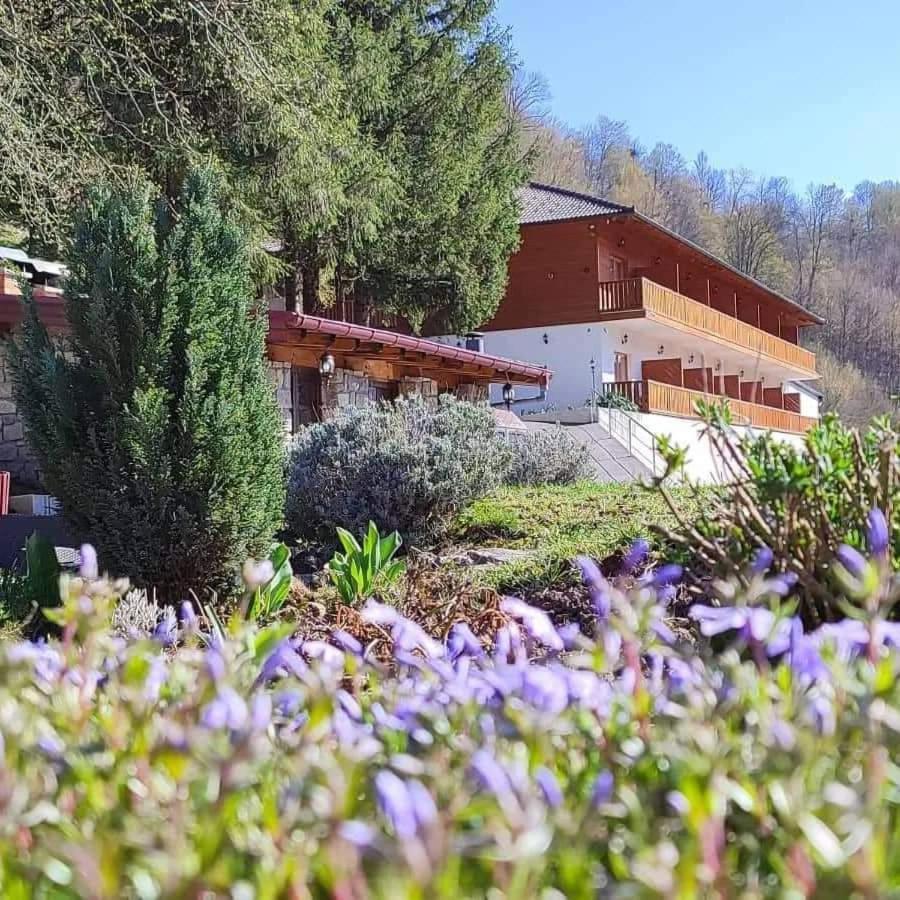 B&B Zlatna Nit Босанска Крупа Екстериор снимка